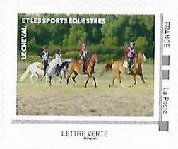 The Horse and Equestrian Sports 3