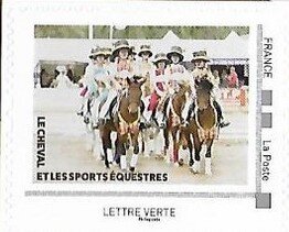 The Horse and Equestrian Sports 4