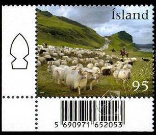 Shepherds and sheep in open pasture