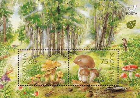 Mushrooms