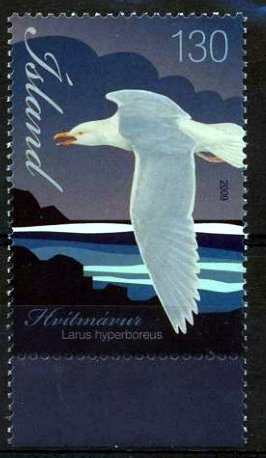 Stamp, Glaucous Gull (Larus hyperboreus), Iceland,  , Birds