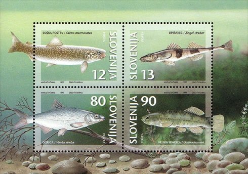 Animals of Slovenia-Threatened types of fresh water fish