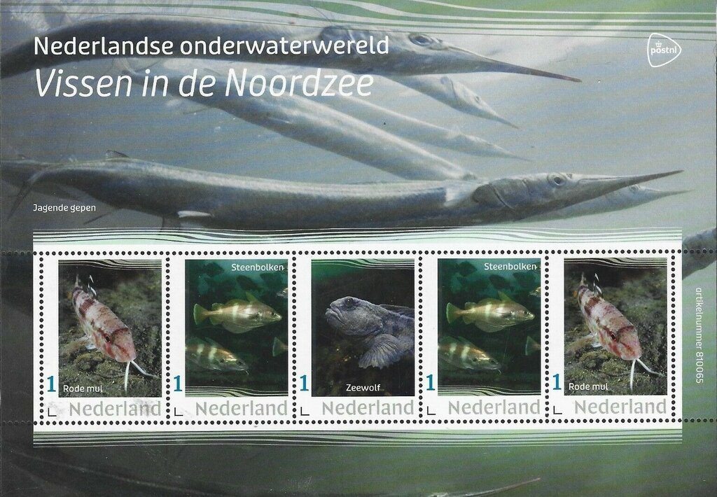 Fishing in the North Sea