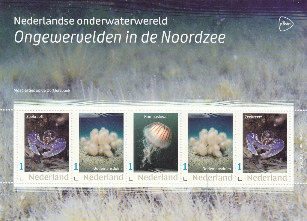 Invertebrates in the North Sea