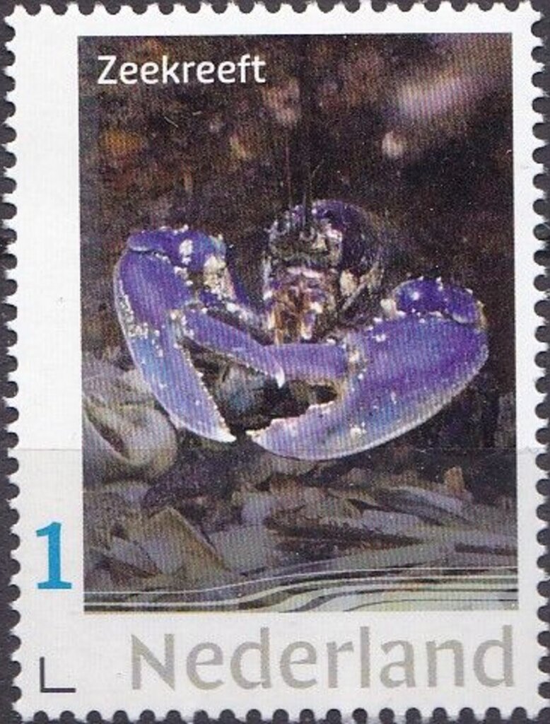 Invertebrates in the North Sea