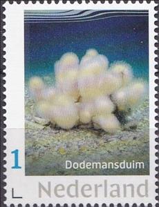 Stamp, Invertebrates in the North Sea, Netherlands- Personalized stamps,  , Animals (Fauna), Sea Life