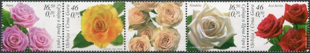 Aqua, Vendela, Sphinx, Roses