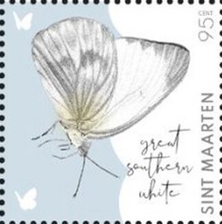 Great Southern White Butterfly (Ascia monuste)