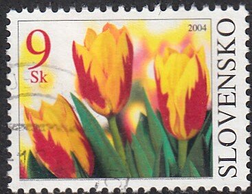 Tulips