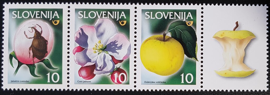 Anthonomus pomorum + Apple Blossom + "Dolenjska voščenka"