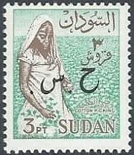 Cotton Picker