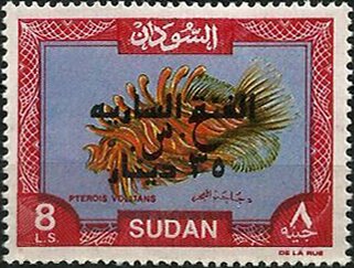Red Lionfish (Pterois volitans)