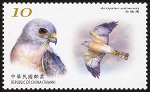 Stamp, Chinese Sparrowhawk (Accipiter soloensis), Taiwan (Republic of China),  , Birds