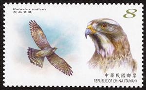 Stamp, Grey-Faced Buzzard (Butastur indicus), Taiwan (Republic of China),  , Birds