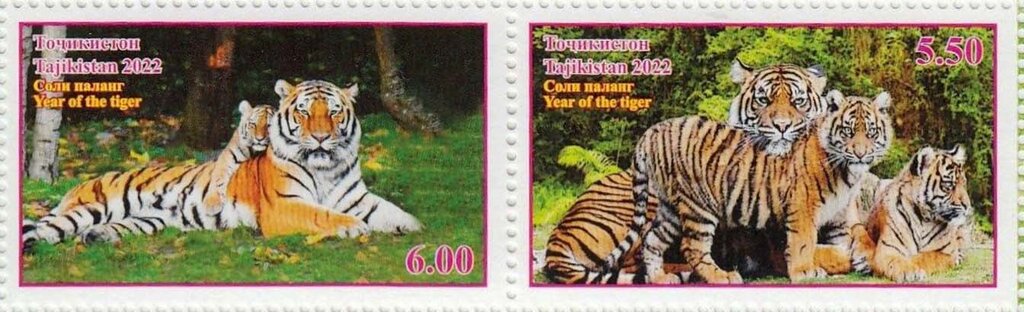 Year of the Tiger 2022