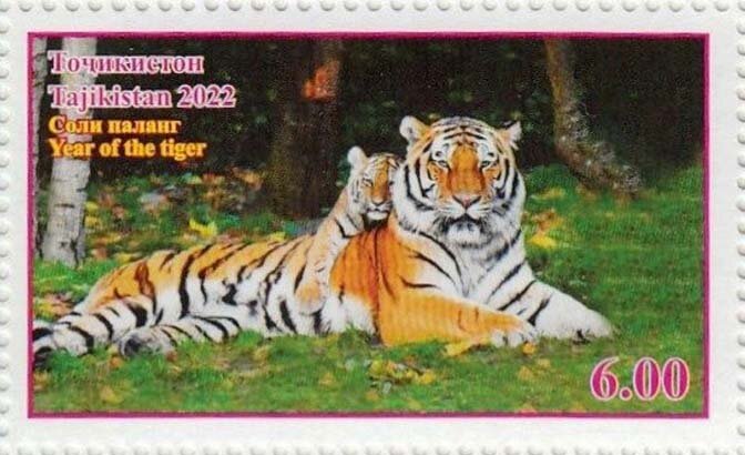 Year of the Tiger 2022