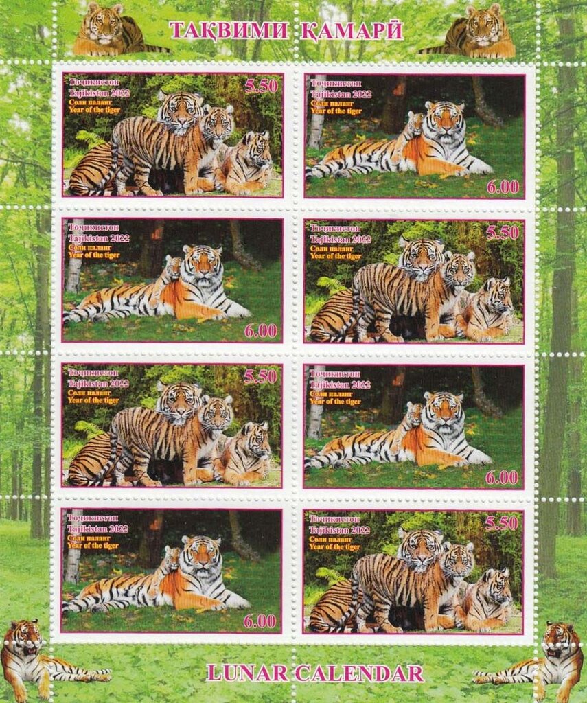 Year of the Tiger 2022