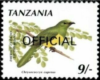African Emerald Cuckoo (Chrysococcyx cupreus)