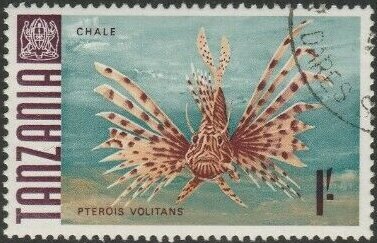 Chale - Red Lionfish (Pterios volitans)