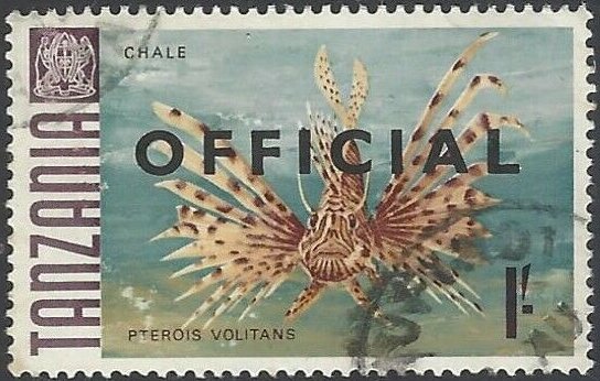 Chale - Red Lionfish (Pterios volitans)