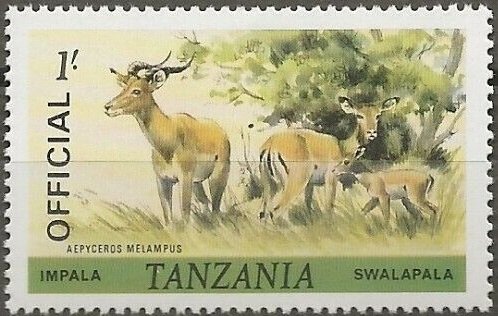 Impala (Aepyceros melampus)