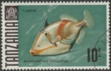 Lagoon Triggerfish (Rhinecanthus aculeatus)