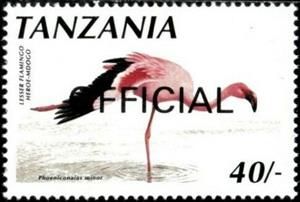 Stamp, Lesser Flamingo (Phoeniconaias minor), Tanzania,  , Animals (Fauna), Birds, Flamingos