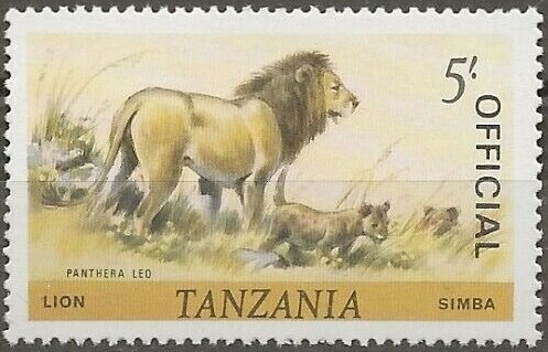 Lion (Panthera leo)