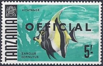Moorish Idol (Zanclus cornutus)