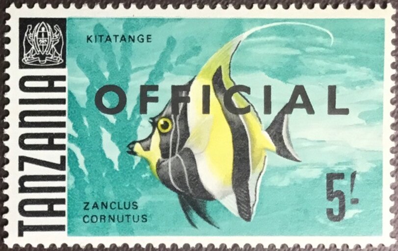 Moorish Idol (Zanclus cornutus)