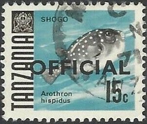 Shogo - White-spotted Puffer (Arothron hispidus)