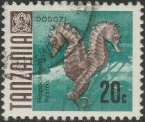 Spiny Seahorse (Hippocampus hystrix)