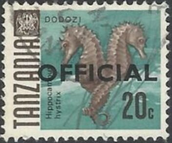 Spiny Seahorse (Hippocampus hystrix)