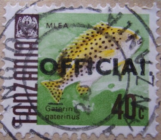 Sweetlips (Gaterin gaterinus)