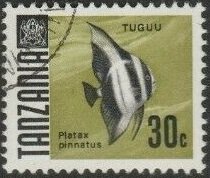 Tuguu - Dusky Batfish (Platax pinnatus)