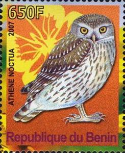 Stamp, Athene Noctua, Cinderellas,  , Animals (Fauna), Birds, Owls