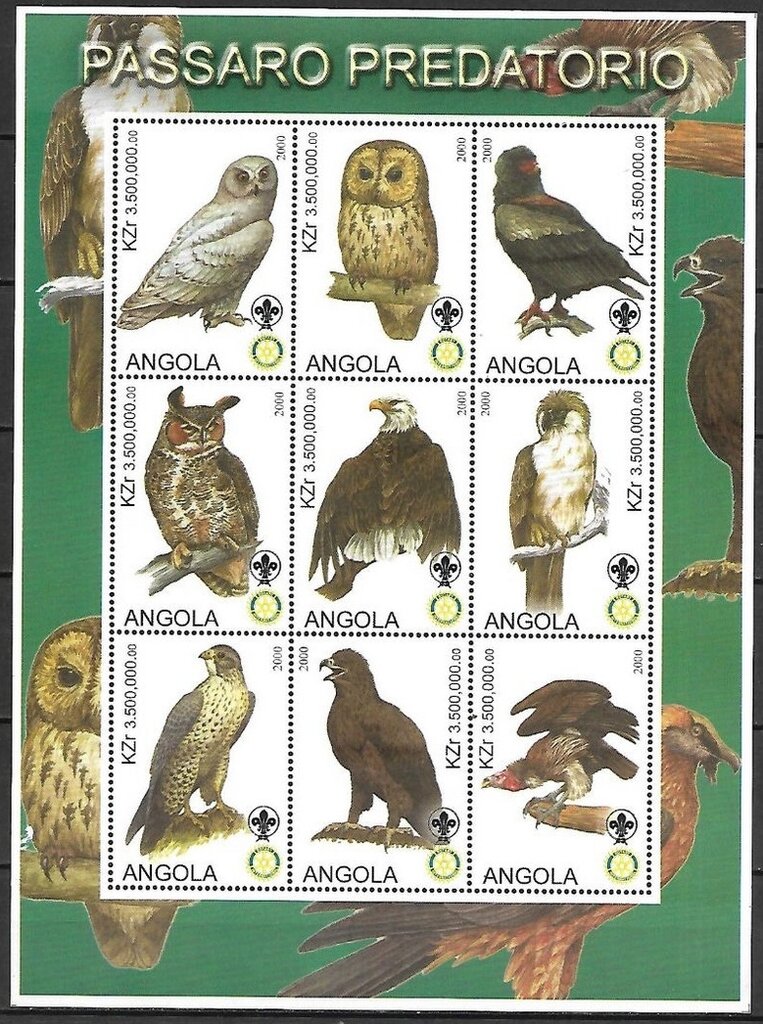 Birds