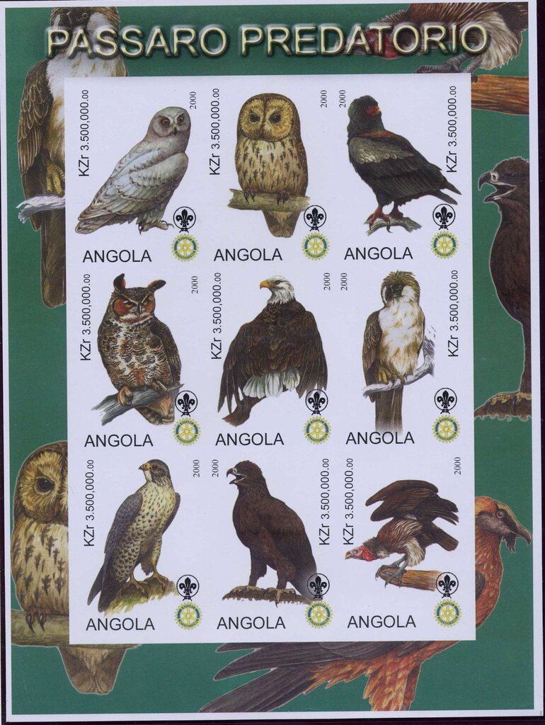Birds