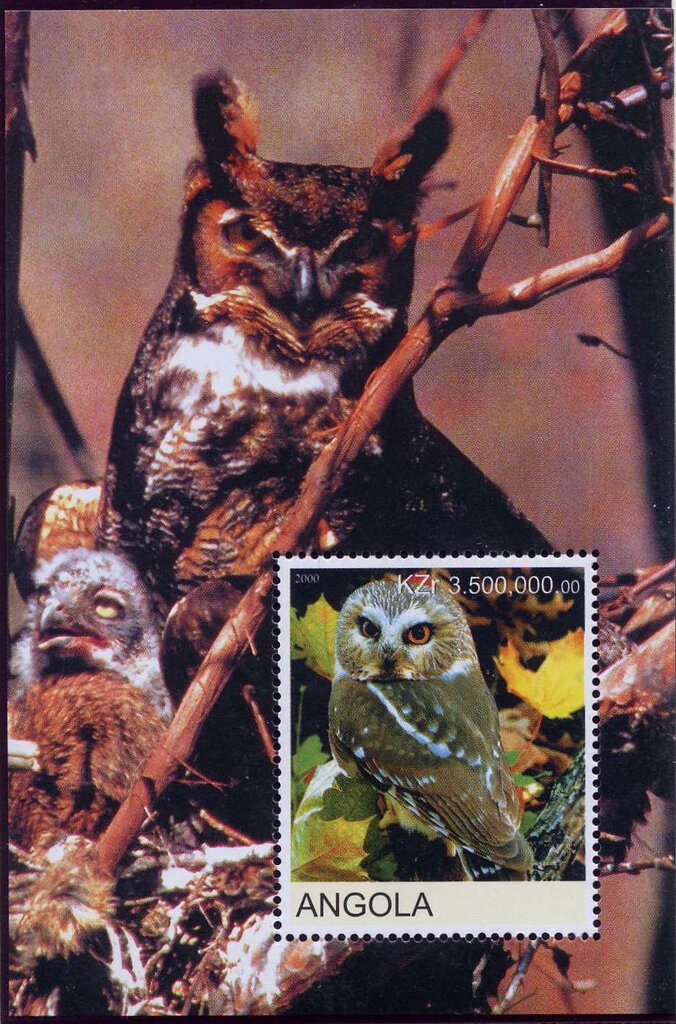 Birds
