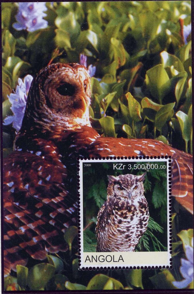 Birds