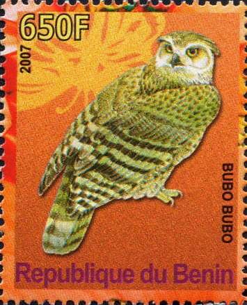 Bubo Bubo