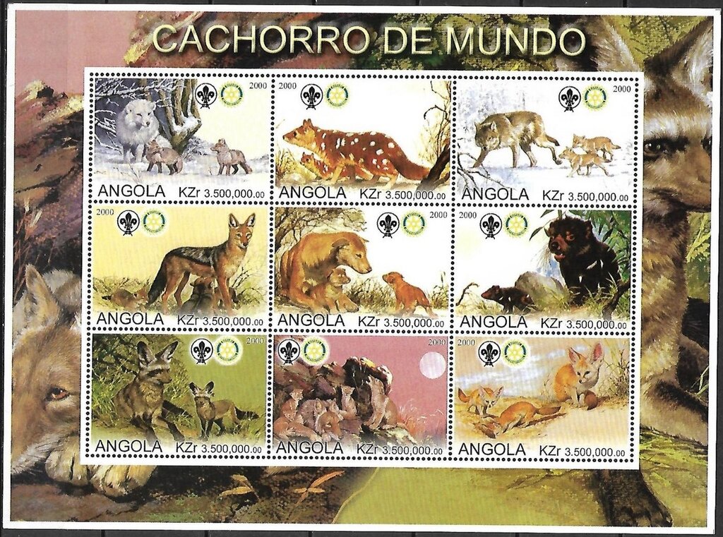 Cachorro de Mundo