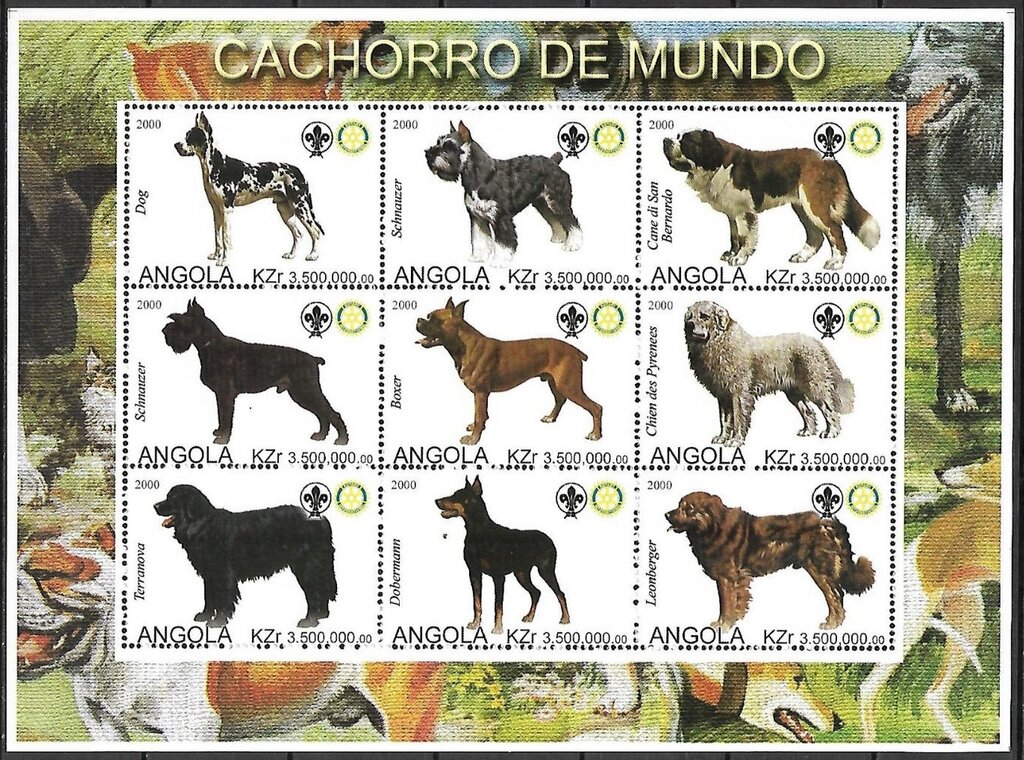 Dogs