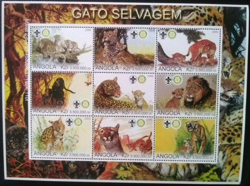 Gato Selvagem