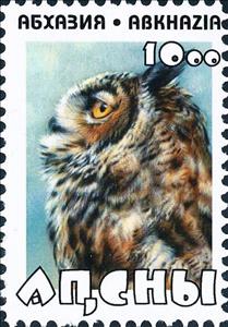 Stamp, Owl, Cinderellas,  , Animals (Fauna), Birds, Owls