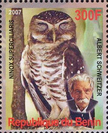 Owl