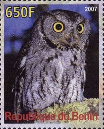 Owl