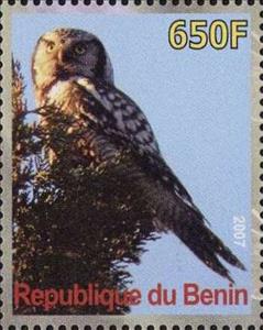Stamp, Owl, Cinderellas,  , Animals (Fauna), Birds, Owls