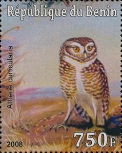 Stamp, Owl, Cinderellas,  , Animals (Fauna), Birds, Owls