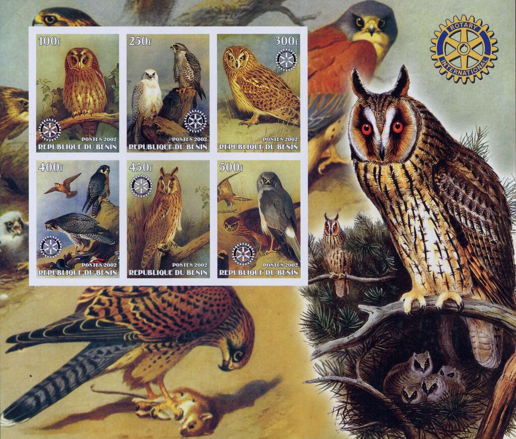 Owls